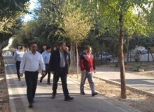مدیر منطقه ۸ از آخرین وضعیت عمرانی، خدمات شهری و زیباسازی محلات بازدید کرد