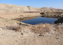 پیشرفت‌های ارزشمند در مدیریت شیرابه‌ها/ خشک شدن ۸۰ درصد از لاگون‌ها در مرکز حلقه‌دره